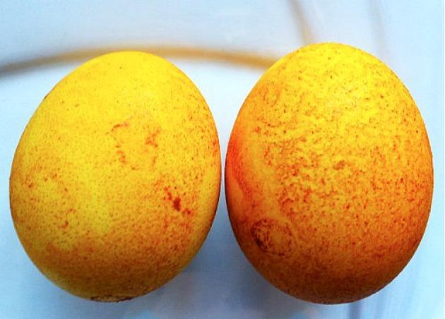 חי מטבח פריצה: צבעים טבעיים עבור ביצים לחג הפסחא