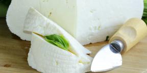 איך לבשל גבינה תוצרת בית