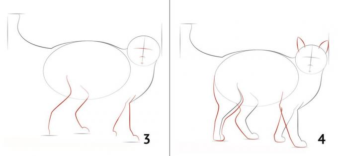 איך לצייר חתול