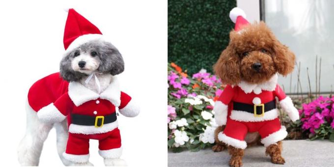 תחפושות חג המולד לכלבים woofing סנטה