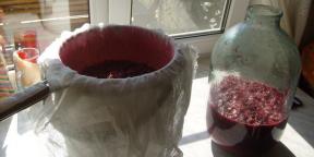 כיצד להפוך את היין מן דומדמניות אדומות, שחור ולבן בבית