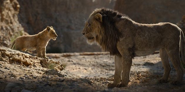 "מלך האריות": סימבה סקאר