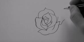 איך לצייר ורד של 20 דרכים שונות