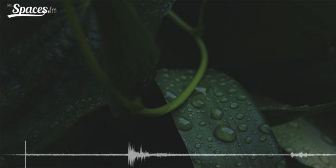קול Binaural של גשם עבור ריכוז