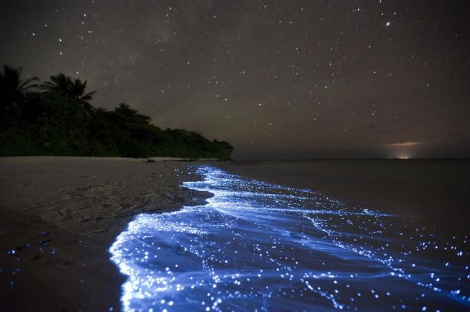 Bioluminescent חוף - Vaadhoo, האיים המלדיביים החופים הטובים ביותר