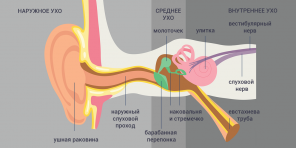 מהי דלקת אוזניים בשחפת ואיך להיפטר ממנה