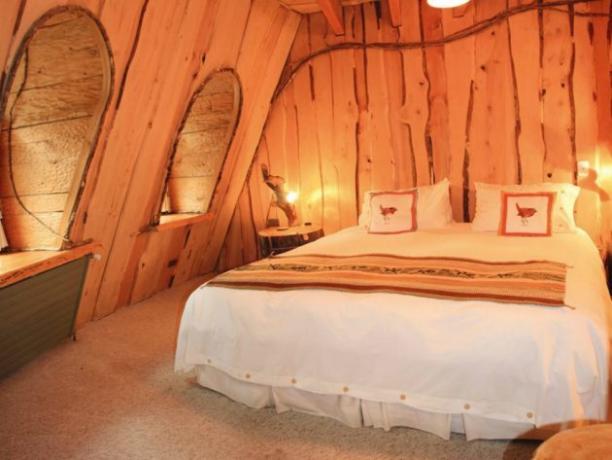 מלון מג'יק מאונטיין המלון ממוקם ביערות מוגנים הצ'יליאני