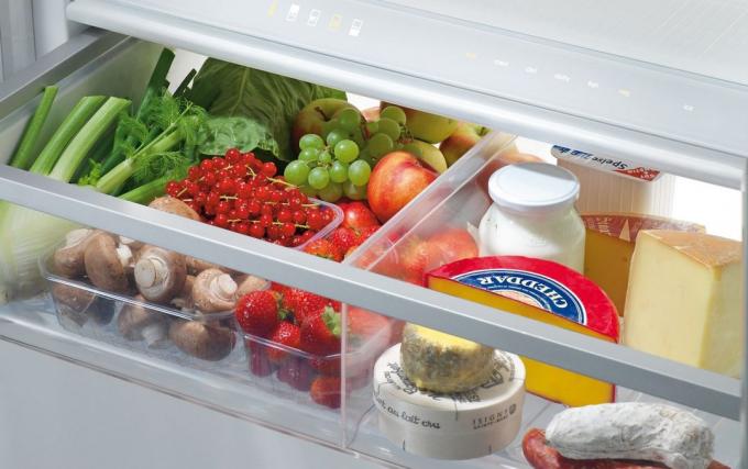 לערוך ביקורת על מנת לשמור על הסדר במקרר