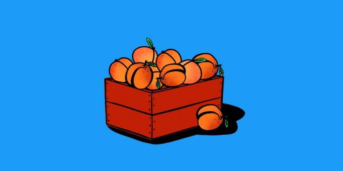 בעיות לוגיקה: על אפרסקים