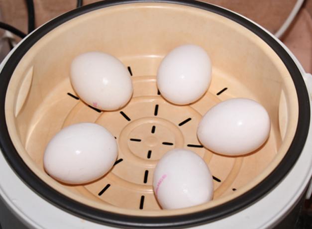 איך לבשל את הביצים בסיר כפול או multivarka