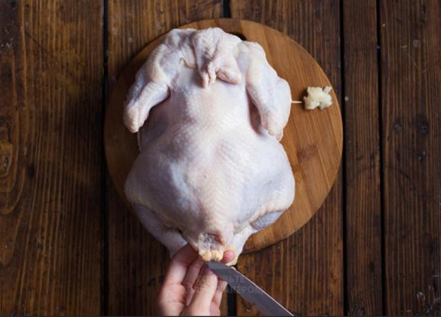 איך לבשל את העוף: לחתוך את בלוטת שמן ריחני מעל הזנב