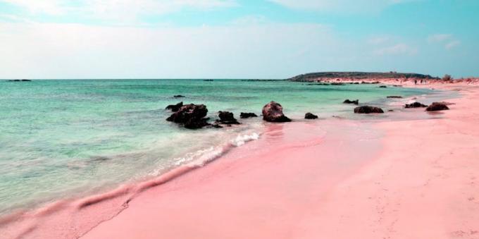 המקום מדהים ביופיו: חוף ורוד בסרדיניה, איטליה