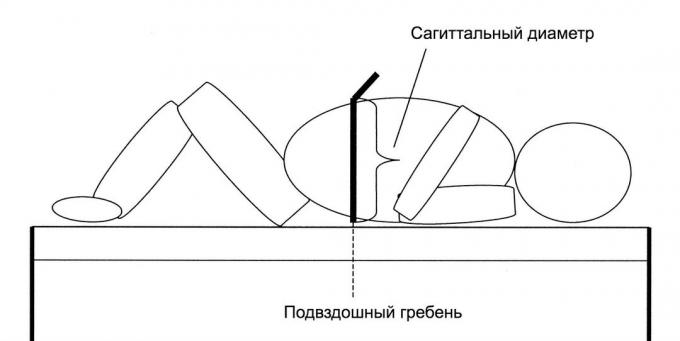 שומן קרבי. קוטר sagittal