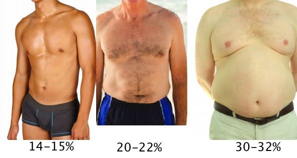 אחוז הגברים שומן