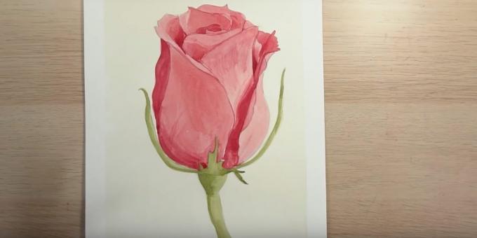 איך לצייר בצבעי פרח חצי-פתוחים