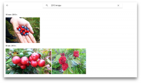 10 סיבות לבחור תמונות Google כדי לאחסן תמונות