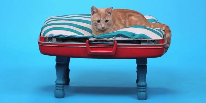 איך מכינים מיטת חתול עשה זאת בעצמך ממזוודה
