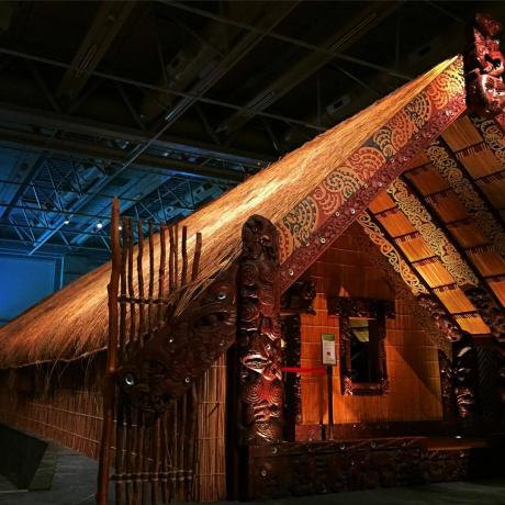 מוזיאון ניו זילנד (Te Papa Tongarewa)