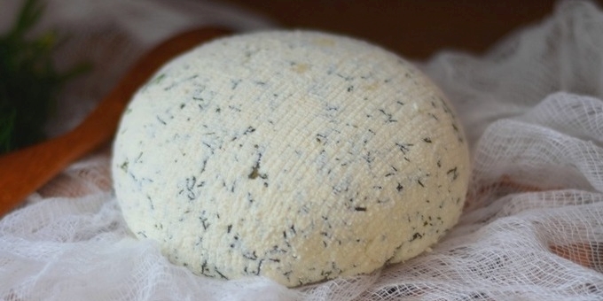 איך לבשל גבינה תוצרת בית: מהיר תוצרת בית גבינת