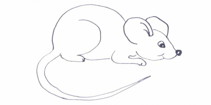 איך לצייר עכבר או חולדה קשה יותר