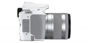 Canon 250D הציגה את EOS - מצלמת SLR קומפקטית וקלה מאוד