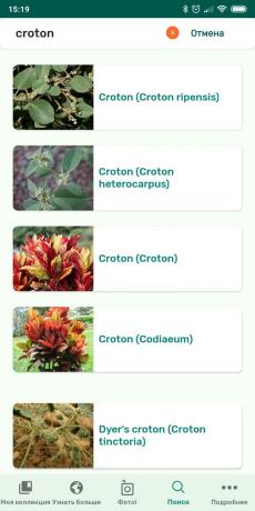 לזהות סוגים של צמחים מקורים באמצעות PlantSnap
