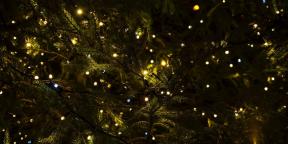 6 מסורות חג המולד שהגיעו אלינו מן הפגאניות