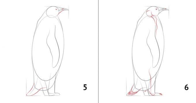 איך לצייר פינגווין