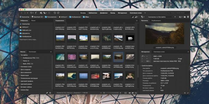 איך לארגן אוסף של תמונות: Adobe Bridge