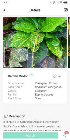 לזהות סוגים של צמחים מקורים באמצעות PictureThis