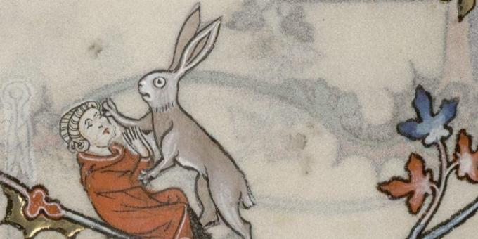 ילדי ימי הביניים: ארנבת תוקפת גבר, בריוויאר מאת רנו דה בארה