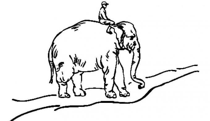הרגלים טובים: הפיל, הרוכב והכביש