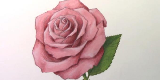 איך לצייר ורד סמני גילוי ועפרונות צבעוניים