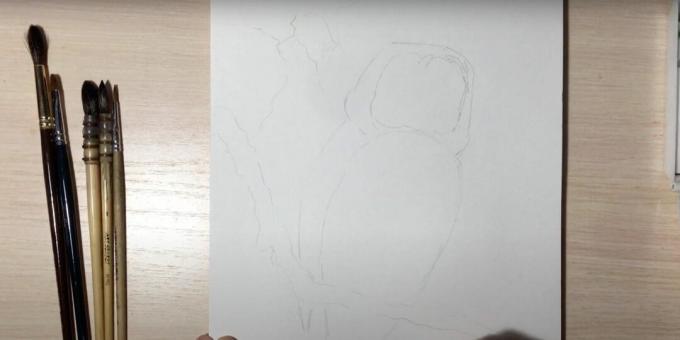 איך לצייר ינשוף: מתאר את הענף והגוף של ינשוף