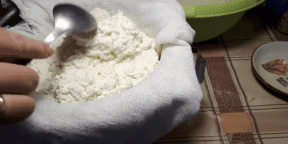 כיצד להפוך את גבינת קוטג 'תוצרת בית חלב או יוגורט. 6 דרכים פשוטות