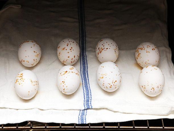 איך לבשל את הביצים בתנור