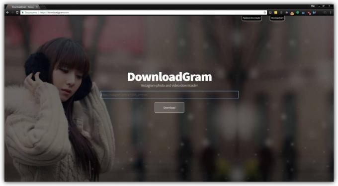 איך להוריד תמונות מ- Instagram באמצעות DownloadGram