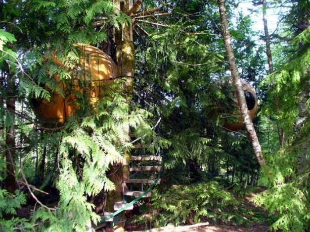 Treehouse, אשר ניתן להזמין