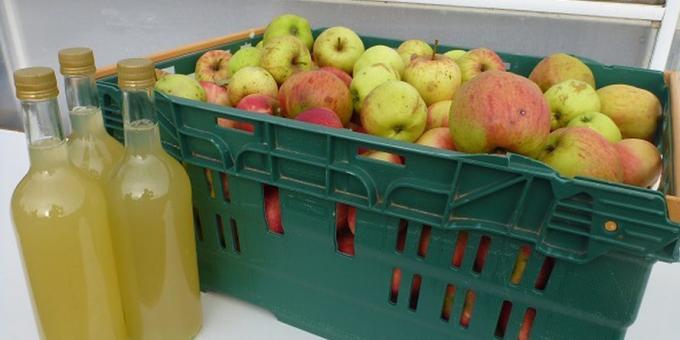 איך לבשל תפוחים בבית: מתכון קל
