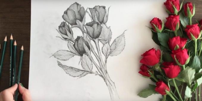 איך לצייר זר ורדים עיפרון