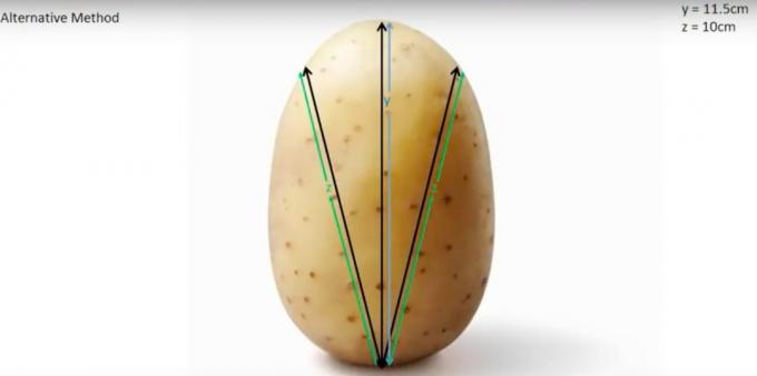 תפוחי אדמה במתכון כפרי: איך לחתוך תפוחי אדמה