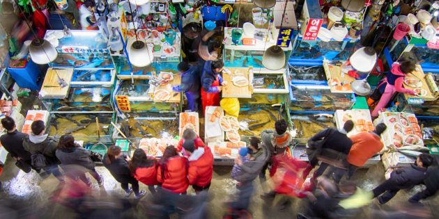 אטרקציות דרום קוריאה: יש צורך לבקר בשוק הדגים