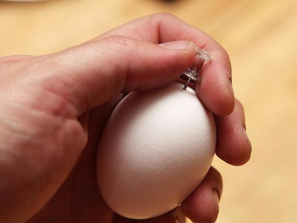 איך לנקב את הביצה