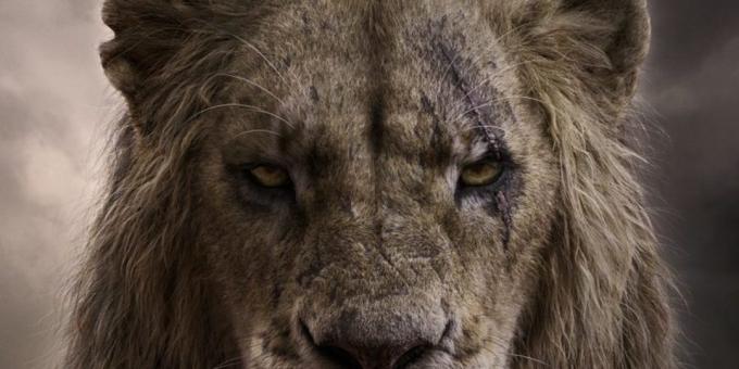 "מלך האריות": הצלקת